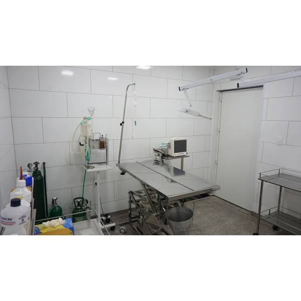 Achar Internação Veterinária na Vila Prudente - Hospital para Internação Veterinária