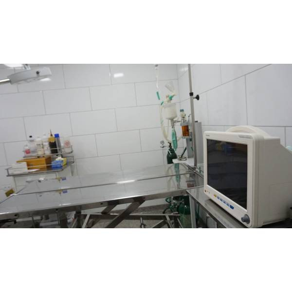Internações Veterinárias no Itaim Paulista - Hospital para Internação Veterinária