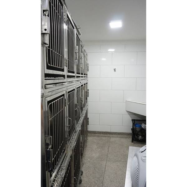 Médicos Veterinários Valores em Artur Alvim - Veterinária 24 Horas Médicos Veterinários Valores em Artur Alvim - Veterinária 24 Horas