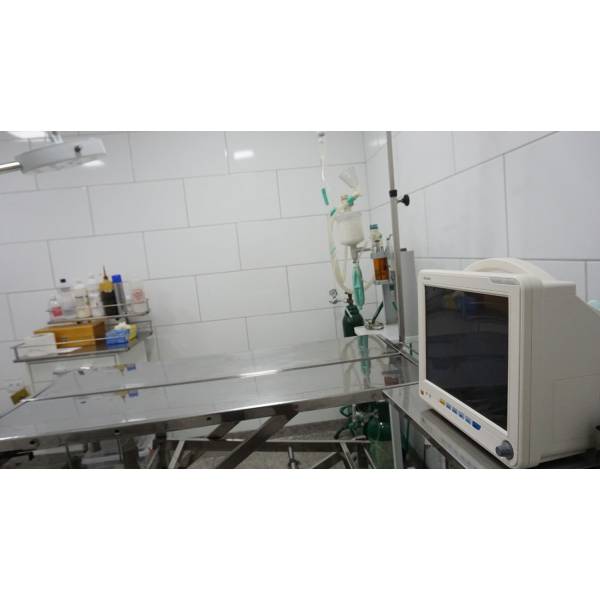 Onde Achar Médicos Veterinários na Mooca - Hospital Veterinário 24 Horas Onde Achar Médicos Veterinários na Mooca - Hospital Veterinário 24 Horas