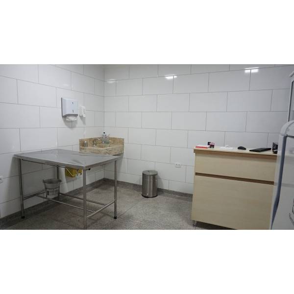 Preço para Internação Veterinária no Parque São Lucas - Internação Veterinária na Zona Leste