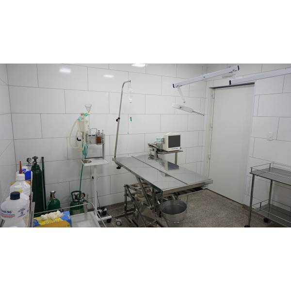 Preços Raio X Veterinário na Vila Formosa - Raio X Veterinario em São Paulo Preços Raio X Veterinário na Vila Formosa - Raio X Veterinario em São Paulo
