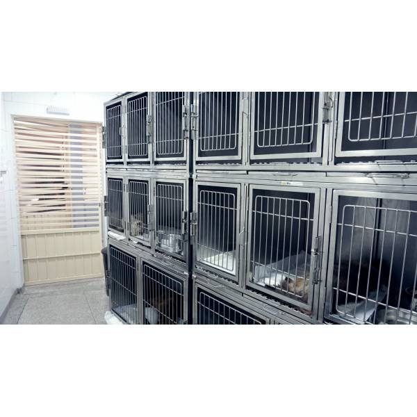 Serviço Veterinário 24 Horas em Água Rasa - Veterinário 24 Horas Serviço Veterinário 24 Horas em Água Rasa - Veterinário 24 Horas