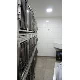 Preço de veterinário 24 horas em Artur Alvim
