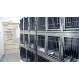 Valor raio x veterinário  em Poá