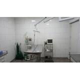 Veterinário 24 horas custo  na Penha