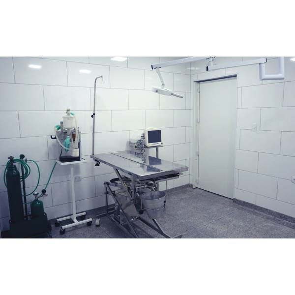 Veterinários Internação em São Miguel Paulista - Internação Veterinária na Zona Leste